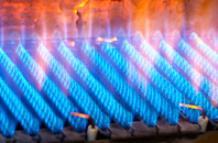Tollard Royal gas fired boilers